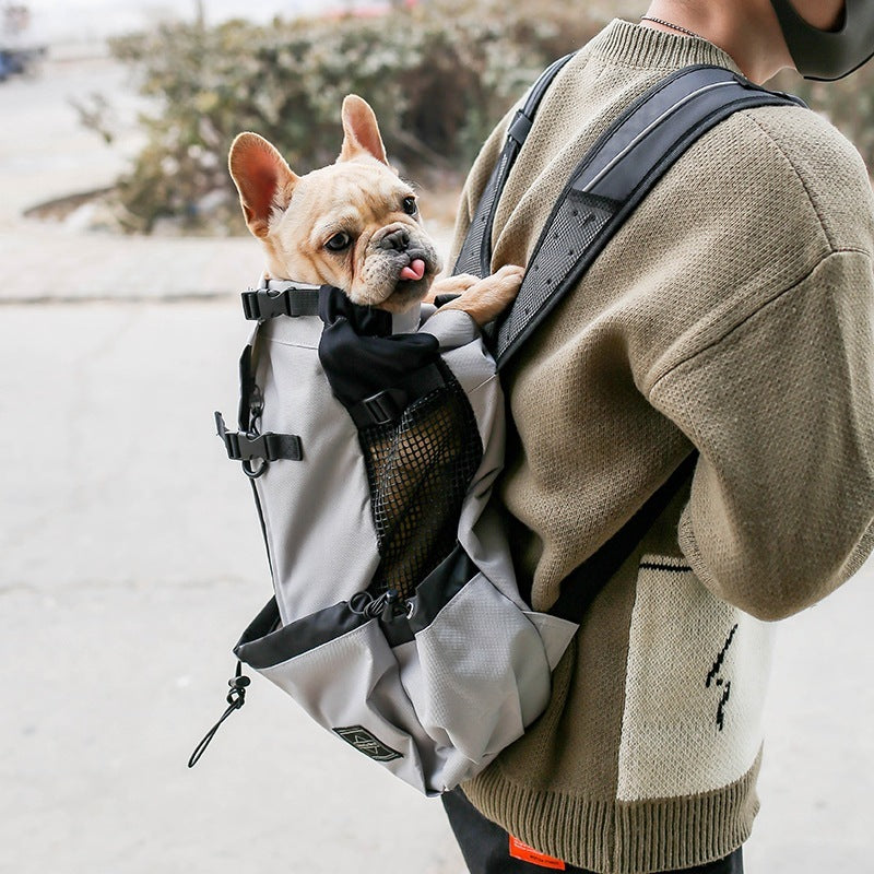 Dogs Backpack Out Double Shoulder