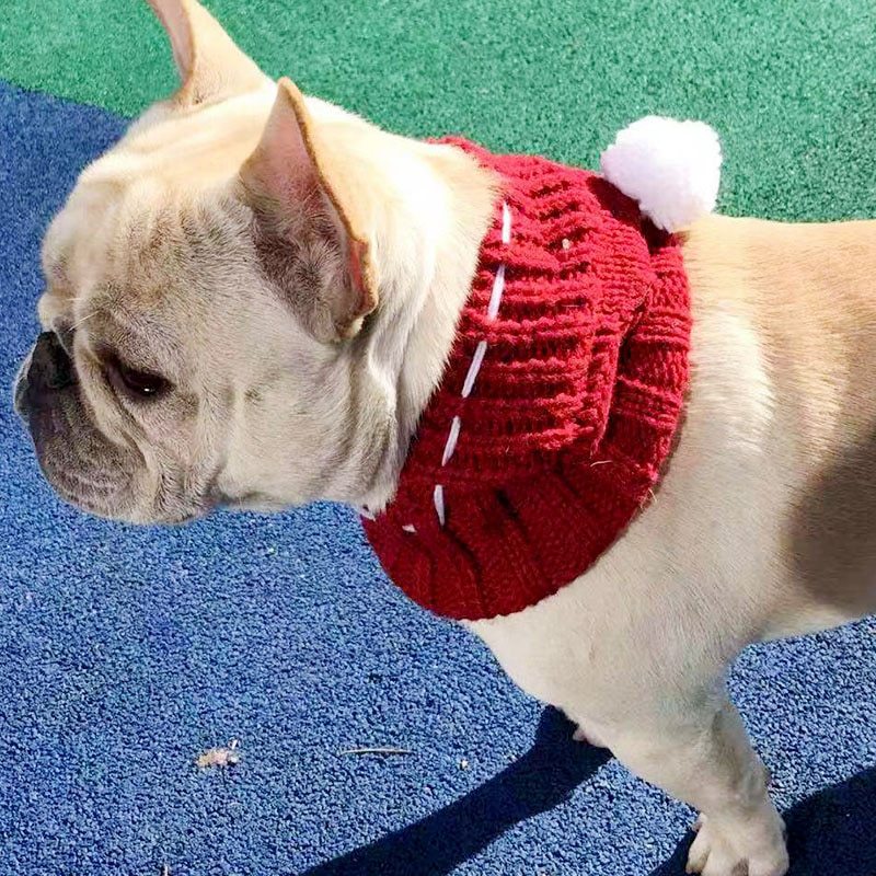 Funny woolen hat for pets to keep warm in winter