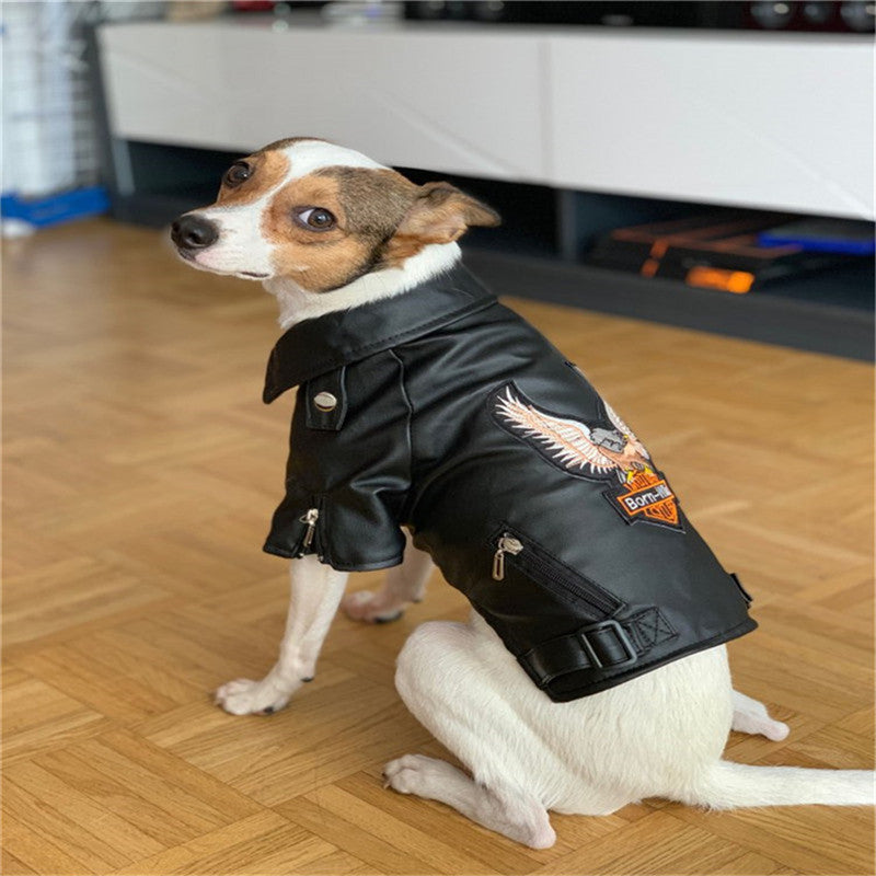 Dog coat