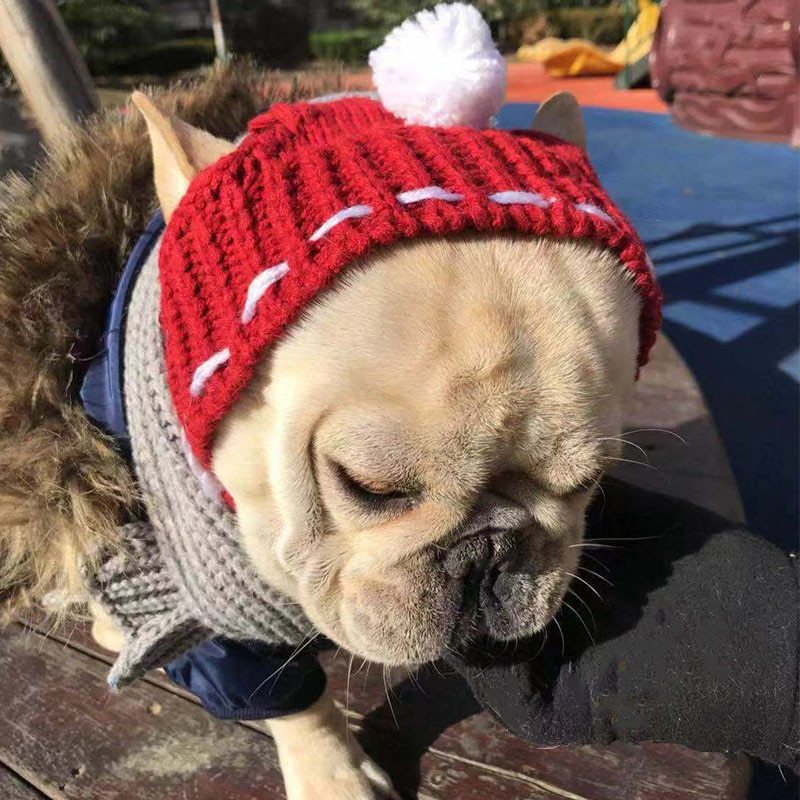 Funny woolen hat for pets to keep warm in winter