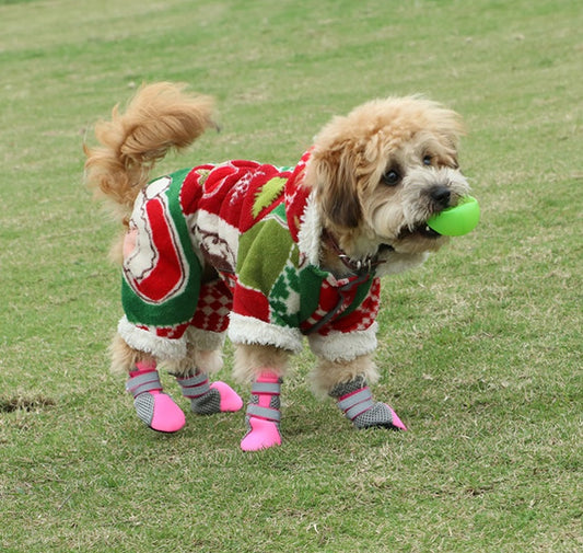 Dog walking shoes