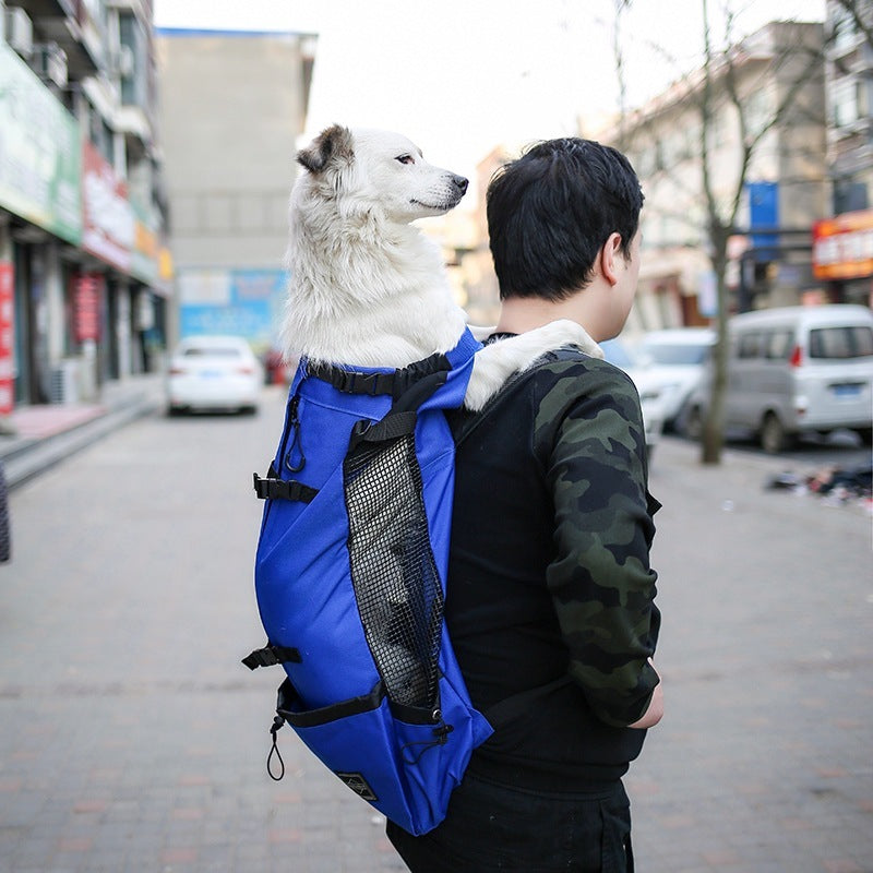 Dogs Backpack Out Double Shoulder