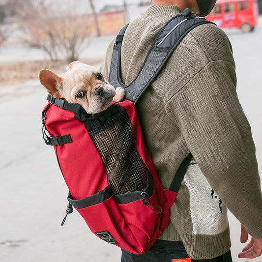 Dogs Backpack Out Double Shoulder