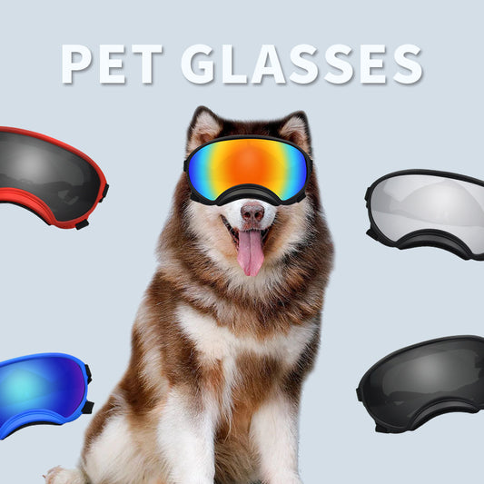 Ski Pet Dog Wind Protection Goggles